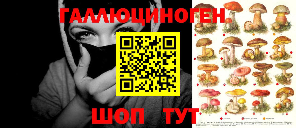 Псилоцибиновые грибы MAGIC MUSHROOMS Камышлов
