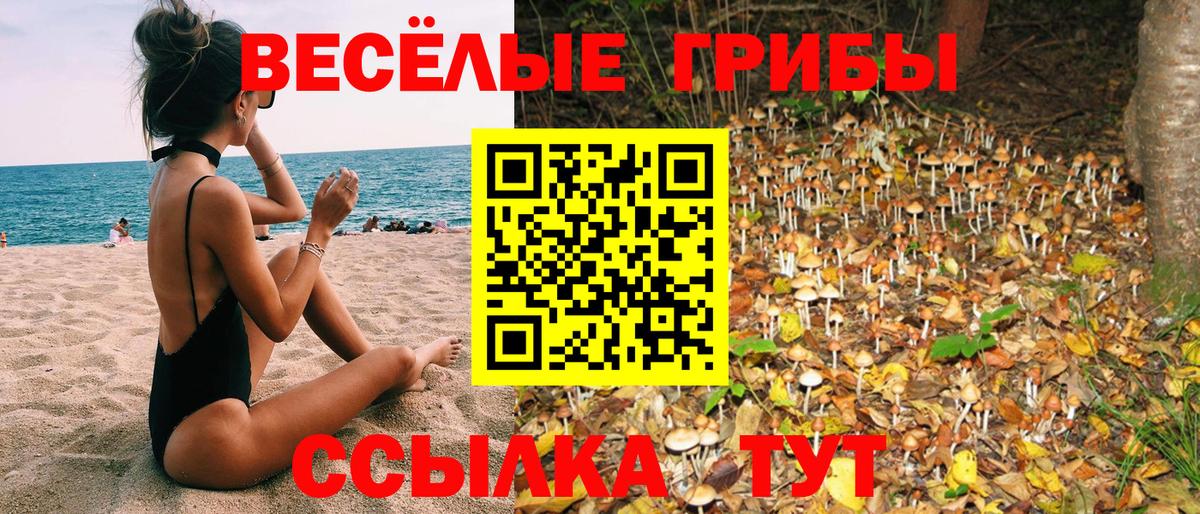 Камышлов  Псилоцибиновые грибы мицелий  Галлюциногенные грибы MAGIC MUSHROOMS  купить  цена  Вход с VPN 